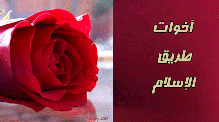 post_110568_1263262281.gif