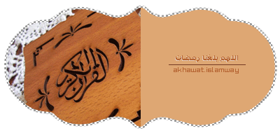 صورة مرفقة : 1.gif