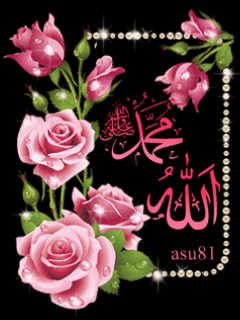 http://akhawat.islamway.net/forum/uploads/post-643584-0-76817400-1394996593.gif