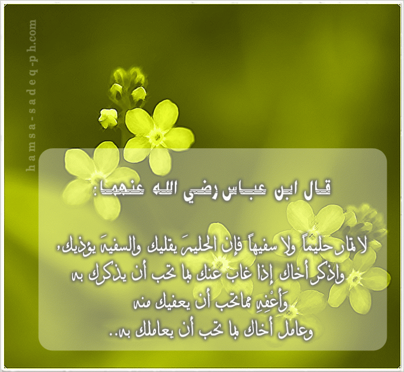 نتيجة بحث الصور عن من اقوال السلف