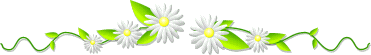 26550.imgcache.gif