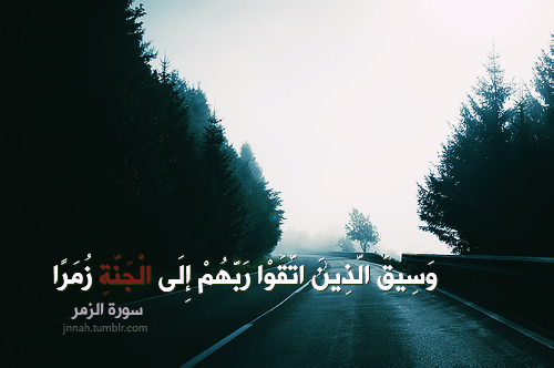 tumblr_mlar30vh681qded0vo1_500.png