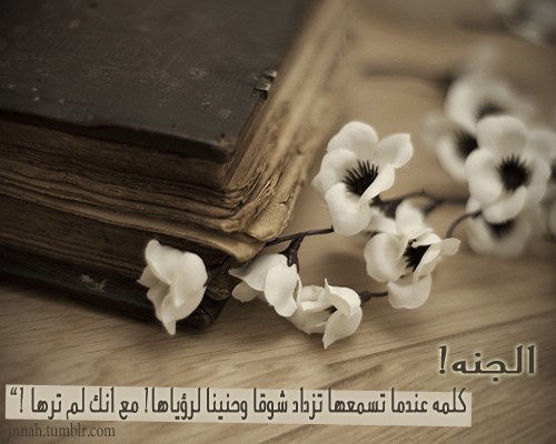 tumblr_ml9ehu0TPF1qded0vo1_500.jpg