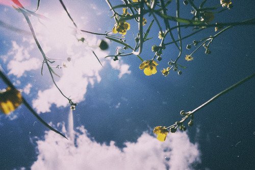 tumblr_mj7w9m3UO31rop01so1_500.jpg