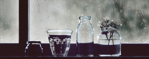 tumblr_mkq9bomqka1rjyllso1_500.gif