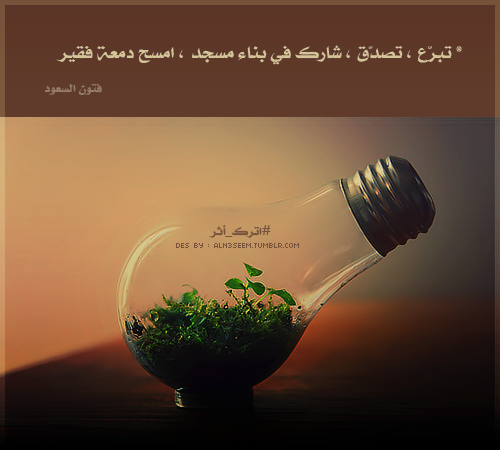 tumblr_mftd8qFz791rwybuxo1_500.png
