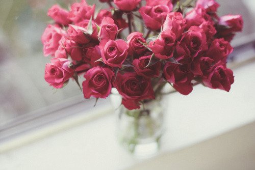tumblr_lt39trQFFm1r001y5o1_500.jpg