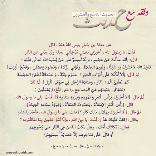 tumblr_mco1t7sZAx1qf81hco1_500.png