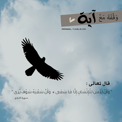 tumblr_me21p8EnOj1qf81hco1_500.png