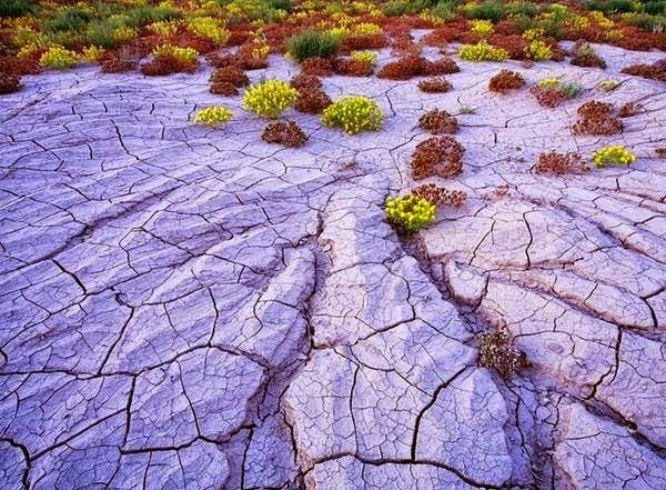 نقره لتكبير أو تصغير الصورة ونقرتين لعرض الصورة في صفحة مستقلة بحجمها الطبيعي