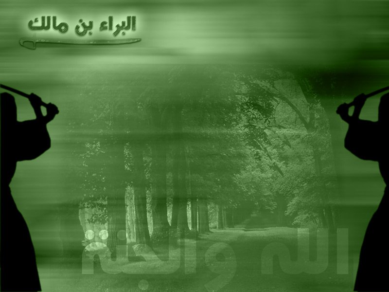 bara_bin_malik_3_800.jpg