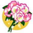 00020322.gif