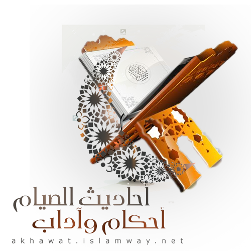 أخوات طريق الإسلام