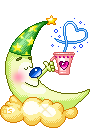 love256.gif
