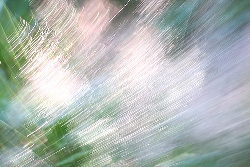 2979864847_00f508a441.jpg
