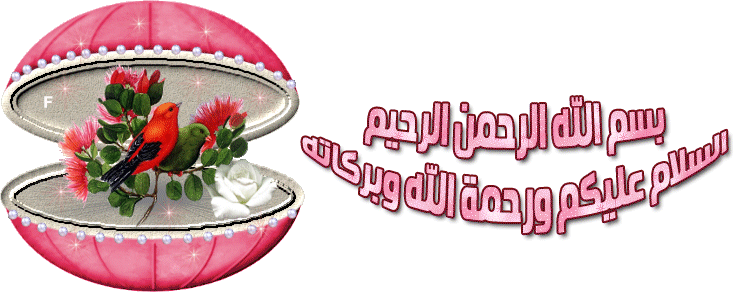13542288501565.gif
