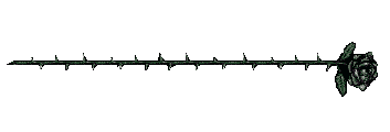 14275637671378.gif