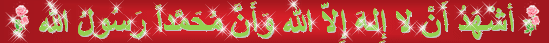14281864341576.gif