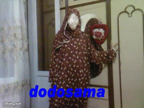 54782alsh3er.jpg