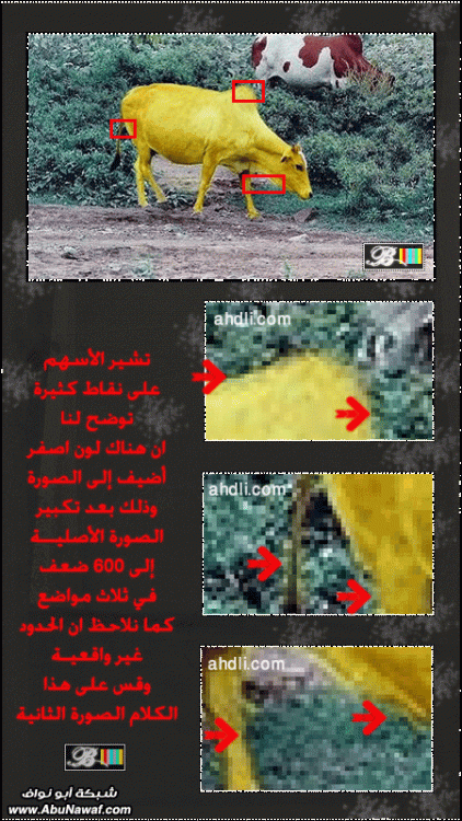 ma7dth.gif