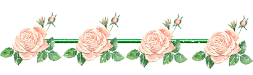 4f424e1c.gif