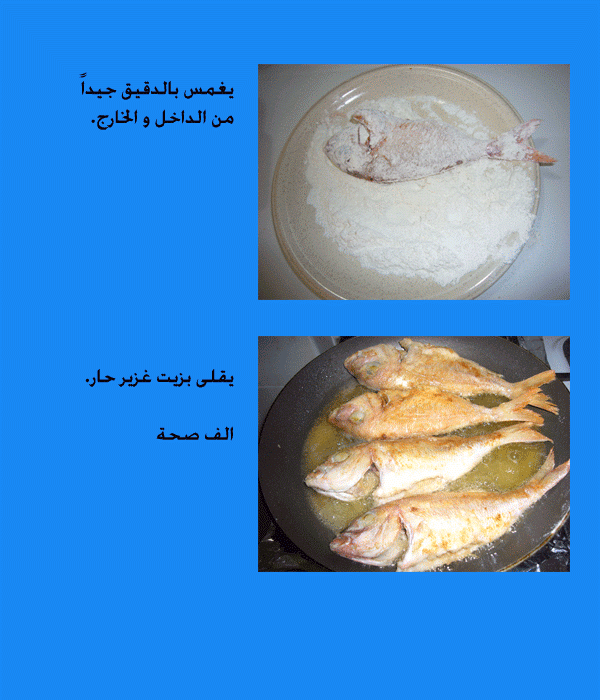 fishcleaner3.gif