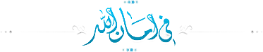 MBimetP.png