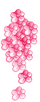 36a3ce87a0f6.gif