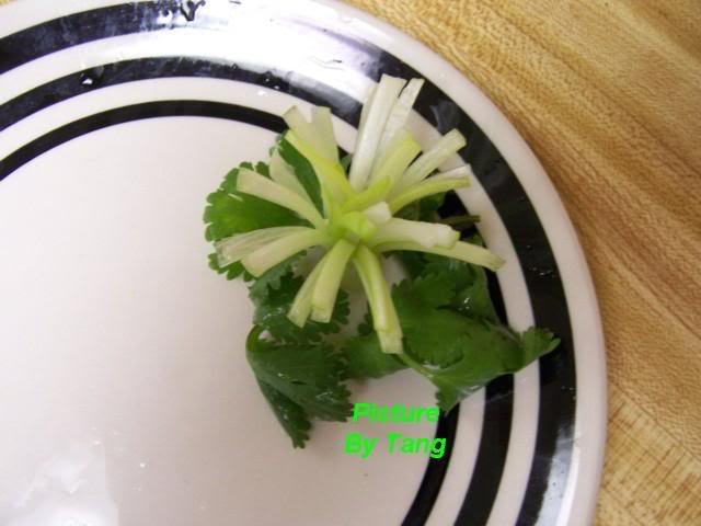 100_5039.jpg