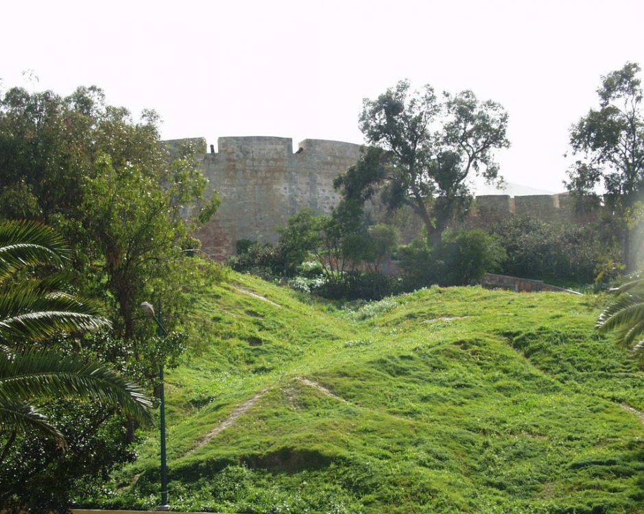 safi10.jpg