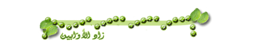 fassil10.gif