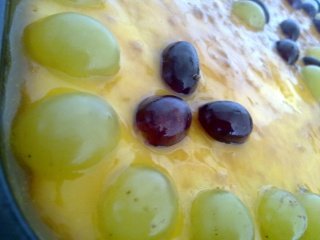 20100130.jpg