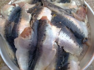 20100853.jpg