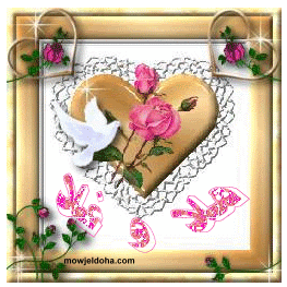 www.gif