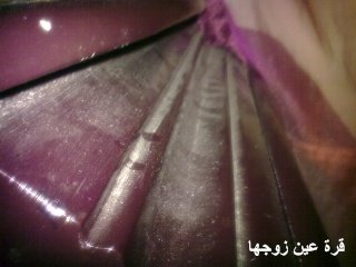 02012038.jpg