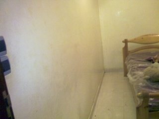 22010.jpg