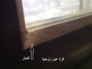 23510.jpg