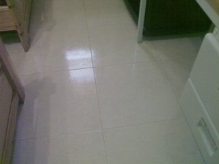 25010.jpg