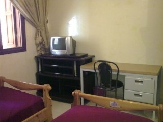 26110.jpg