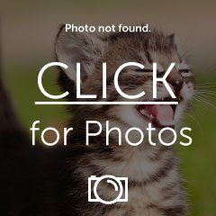 15801583161015839.gif
