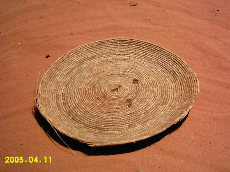 imag0011.jpg
