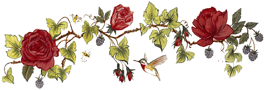 frise_fleur.gif