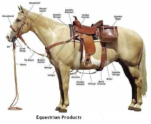 ادوات الخيل بالصور