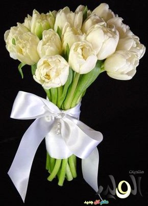 الحمد لله رزقت ابنتي بمولود م ب ار ڪ ۃ و م و ا س اة ا ل أ ح ب ۃ أخوات طريق الإسلام