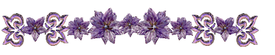 678942wwwtvnhu49d6c529717ba7a0312aa5037347c88a.gif