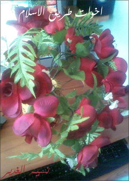 Photo067.jpg