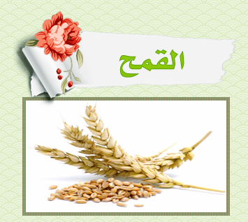 Green_Pharmacy.43.png