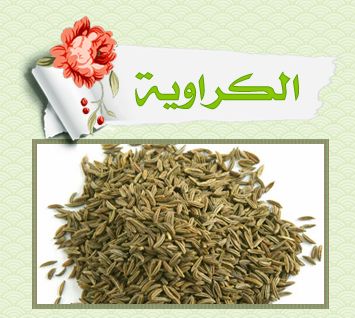 Green_Pharmacy.46.png