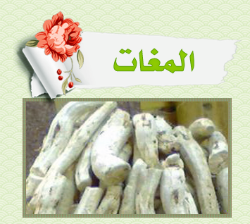 Green_Pharmacy.57.png