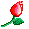 2.gif